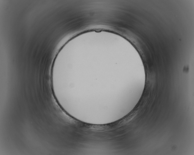X0000088881199200707061403