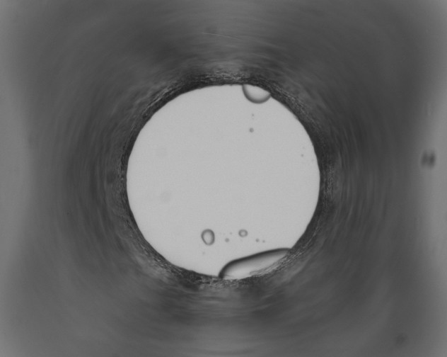 X0000088881201200707061402