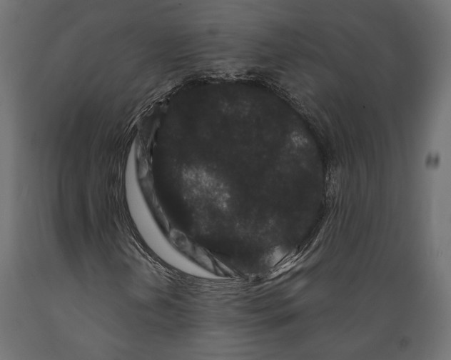 X0000088881202200707061402