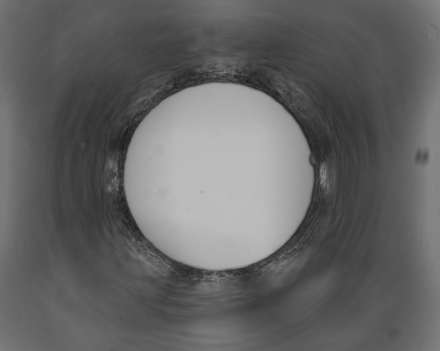 X0000088881203200707061402