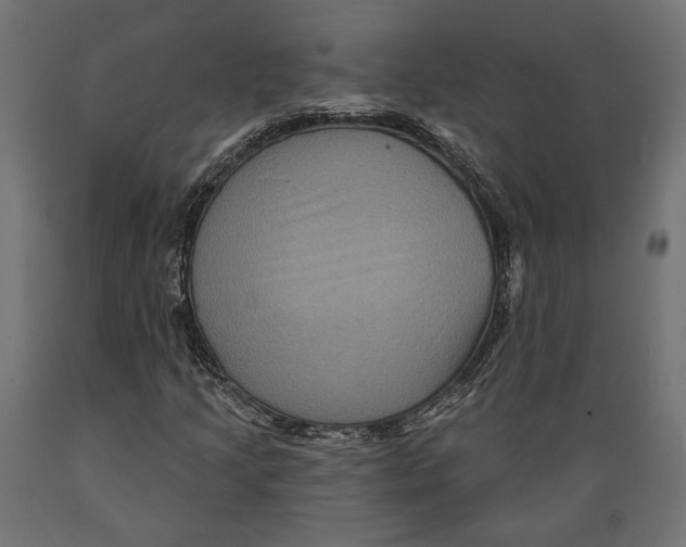 X0000088881205200707061402