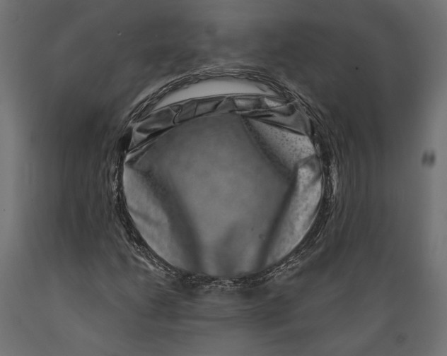 X0000088881206200707061402