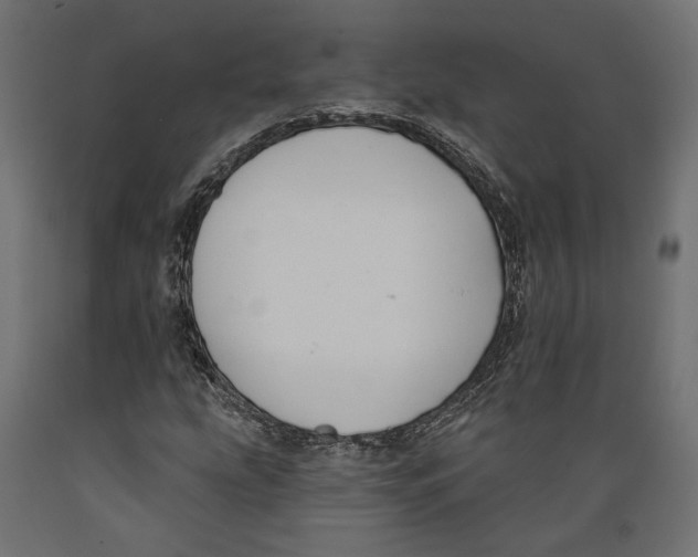 X0000088881207200707061402