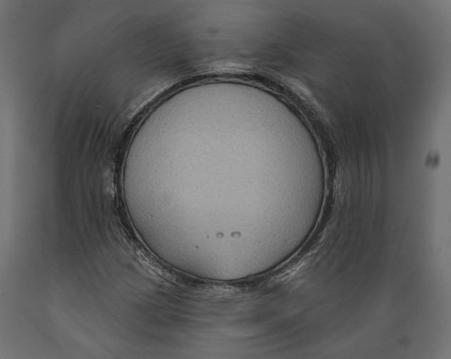 X0000088881209200707061402