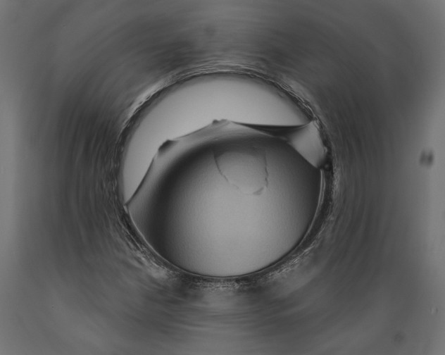 X0000088881210200707061402