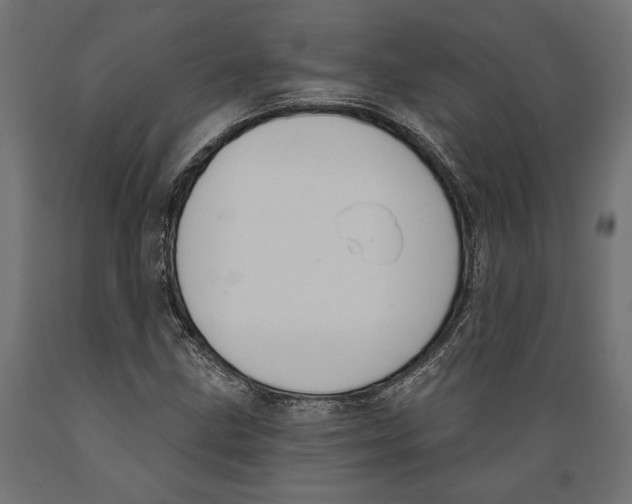 X0000088881211200707061402
