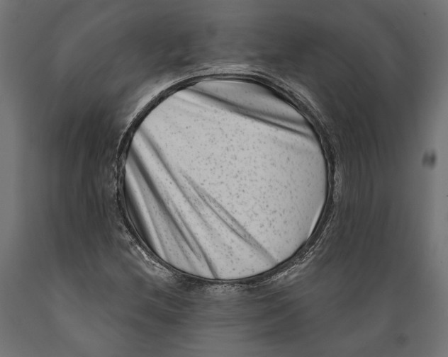 X0000088881212200707061402