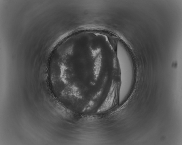 X0000088881213200707061402