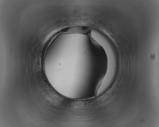 X0000088881214200707061402