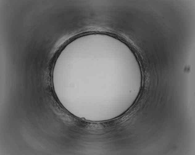 X0000088881215200707061402