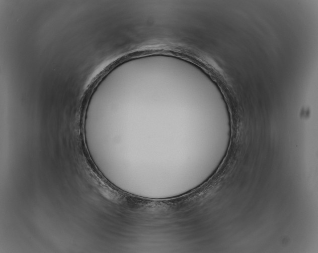 X0000088881216200707061402