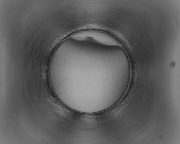 X0000088881217200707061402
