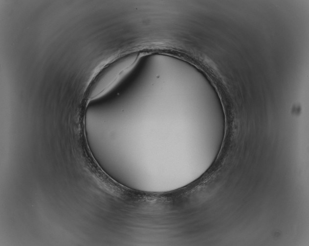 X0000088881218200707061402