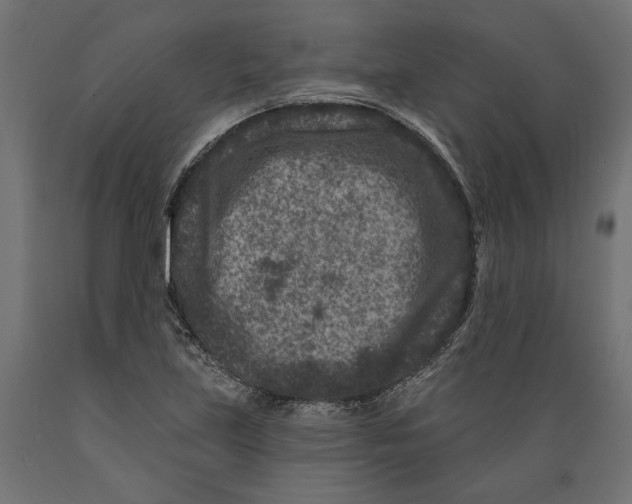 X0000088881219200707061402