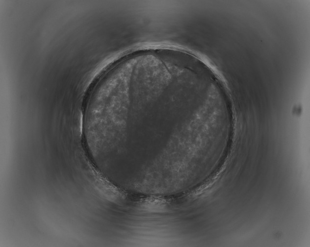 X0000088881221200707061402