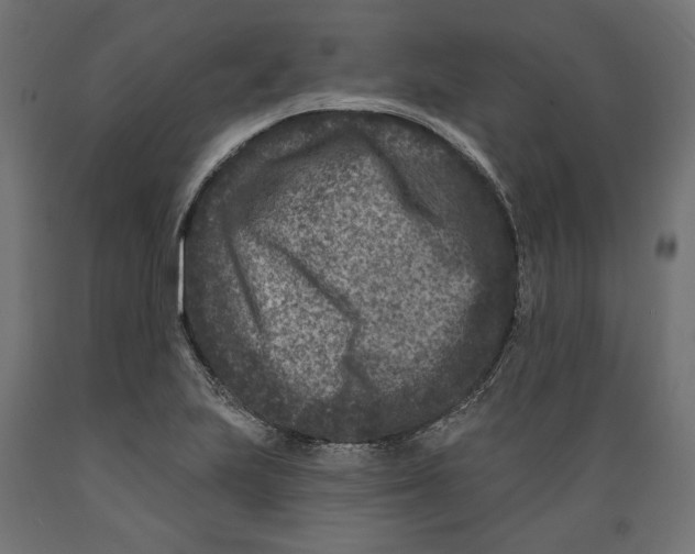 X0000088881223200707061402