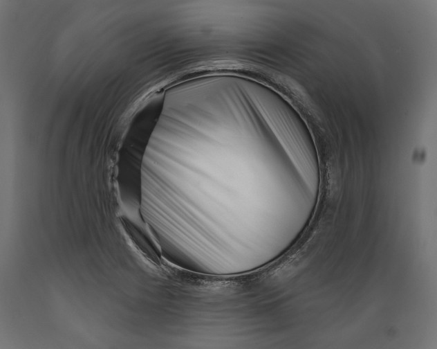 X0000088881225200707061402