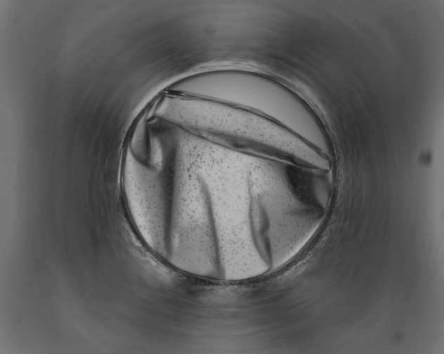 X0000088881228200707061403