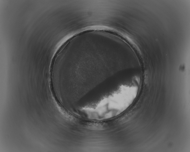 X0000088881229200707061403