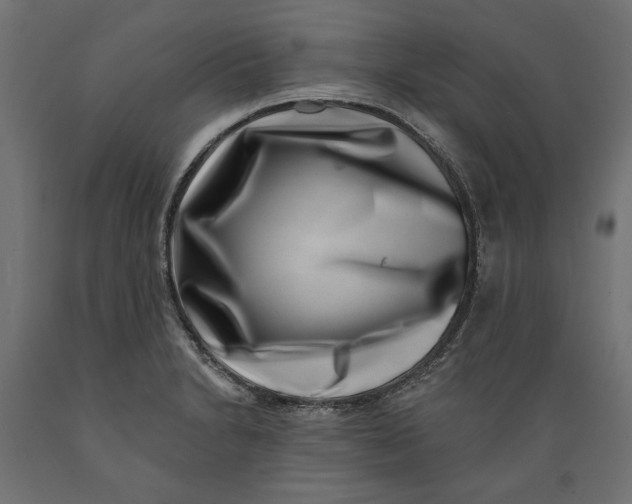 X0000088881230200707061403