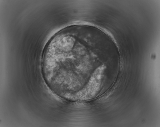 X0000088881231200707061403