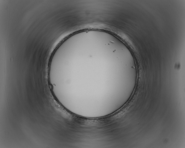 X0000088881232200707061403