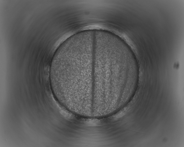 X0000088881233200707061403