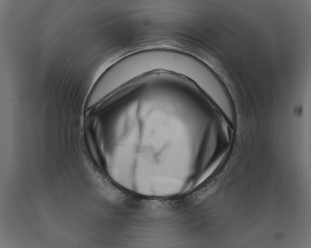 X0000088881234200707061403