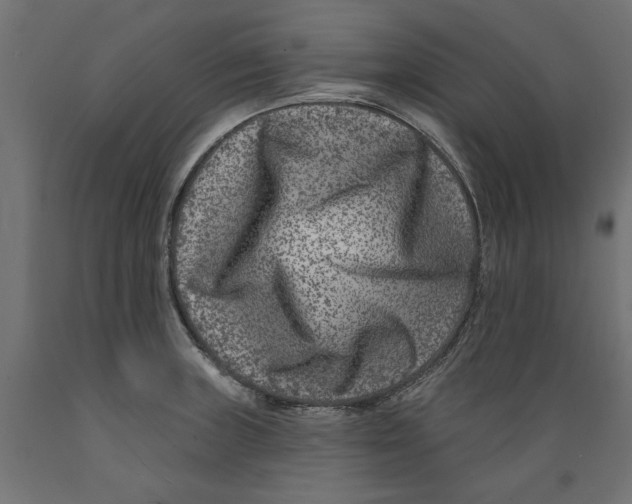 X0000088881235200707061403