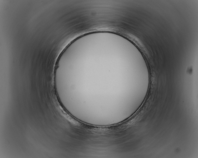 X0000088881236200707061403