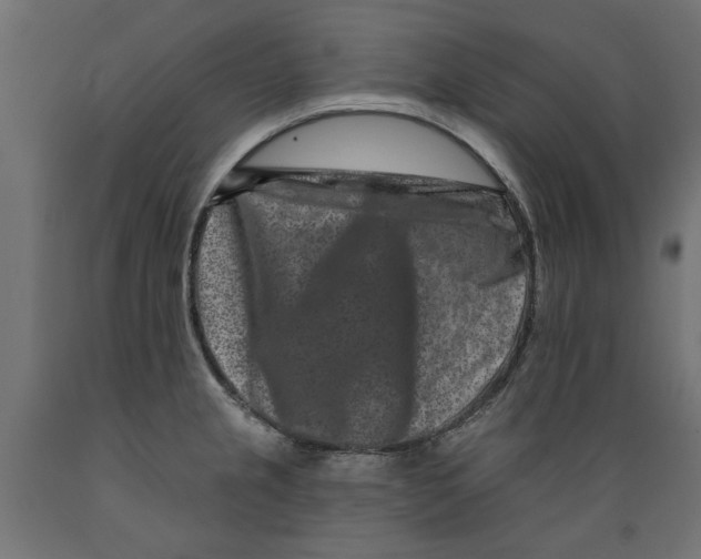 X0000088881237200707061403