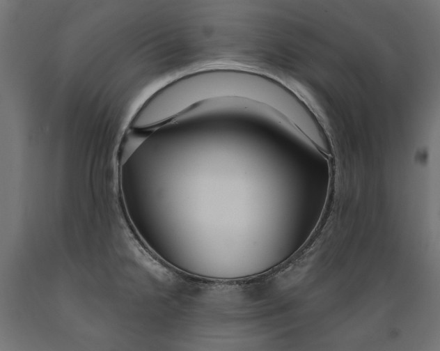 X0000088881238200707061403