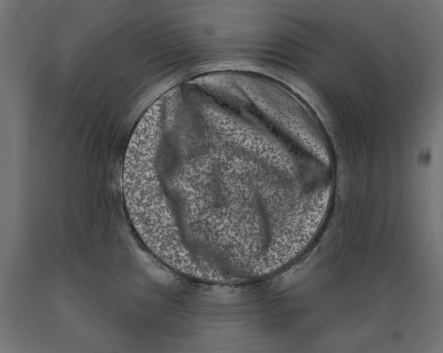 X0000088881241200707061403