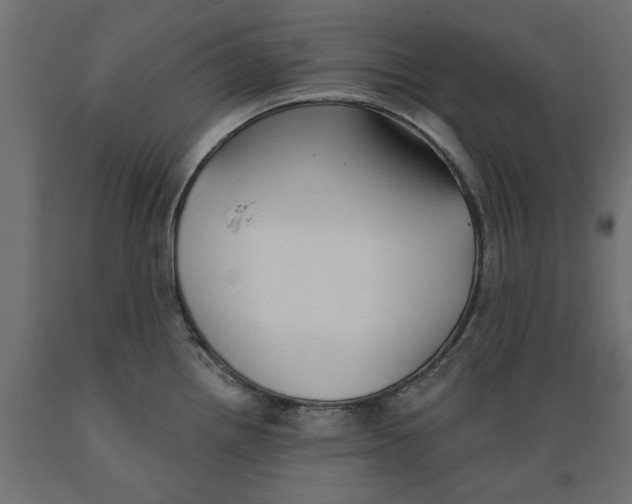 X0000088881242200707061403