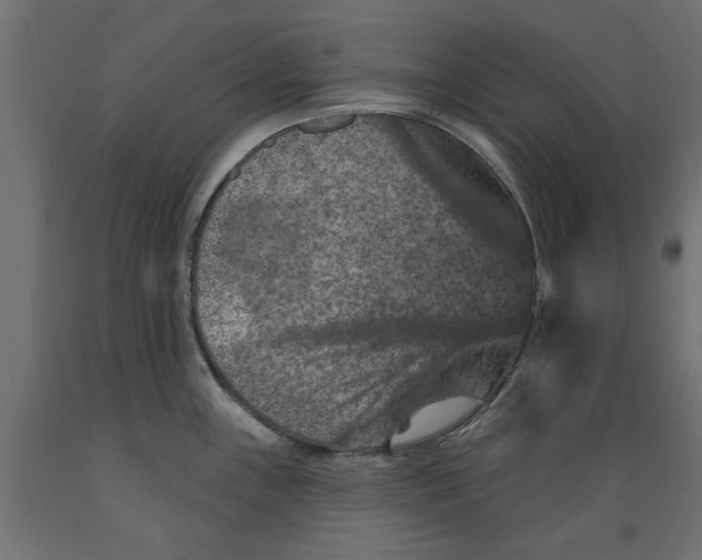 X0000088881243200707061403