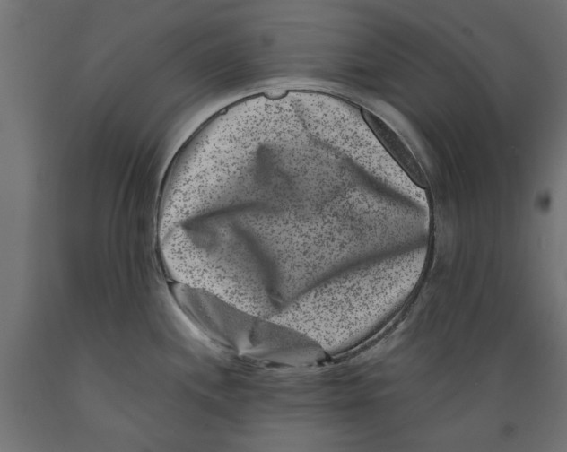 X0000088881244200707061403