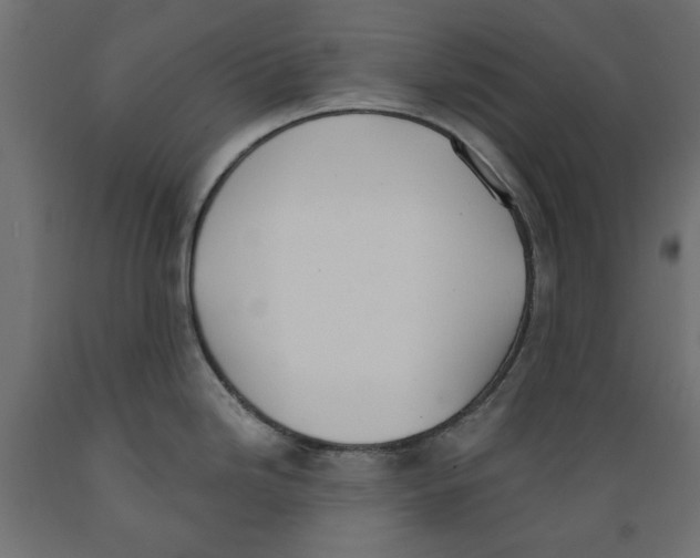 X0000088881246200707061403