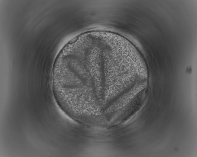 X0000088881247200707061403