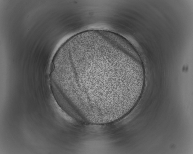 X0000088881248200707061403