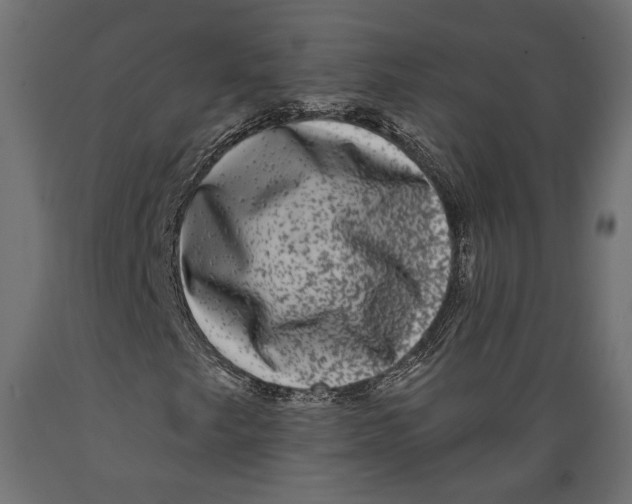 X0000088881249200707061402