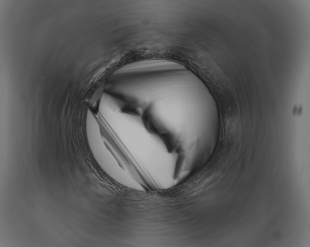 X0000088881250200707061402