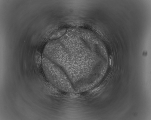 X0000088881251200707061402
