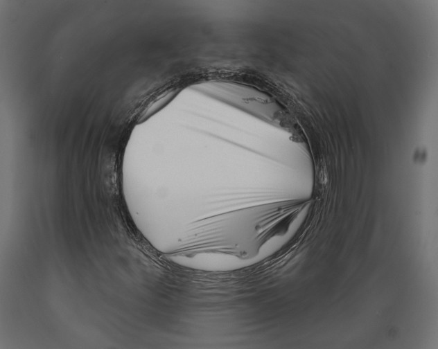 X0000088881252200707061402