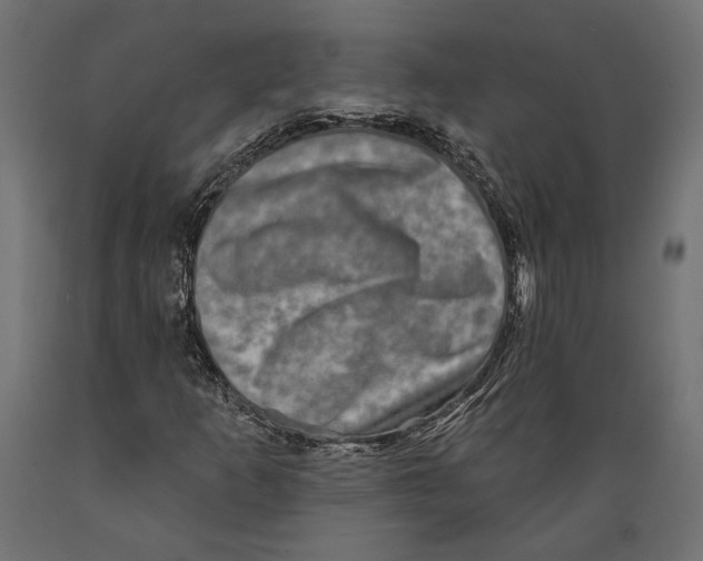 X0000088881253200707061402