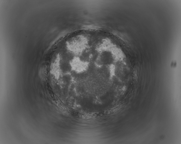 X0000088881254200707061402