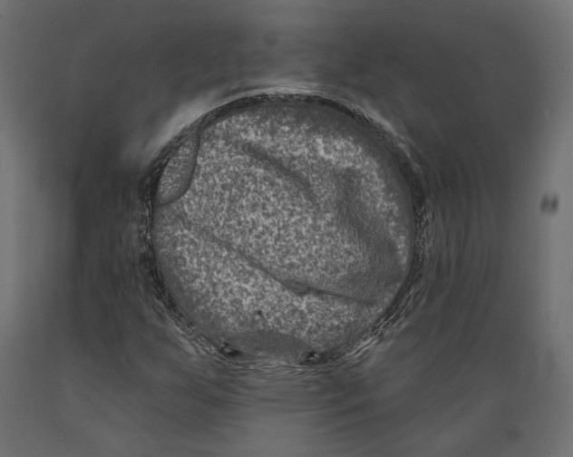 X0000088881255200707061402