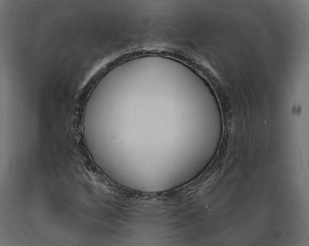 X0000088881256200707061402