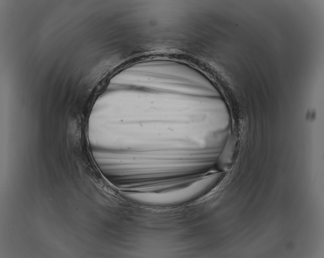 X0000088881257200707061402