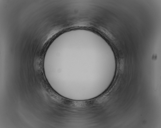 X0000088881258200707061402