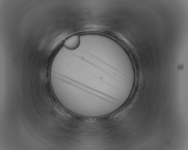 X0000088881259200707061402
